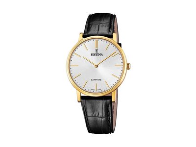 Festina | Homme | Quartz | F20016/1