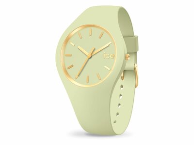 Ice-Watch | Ice Glam | Brushed | Jade | Small | 020542