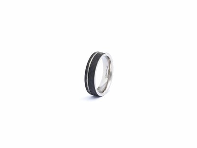 GEMINI | Bague | Homme | Alter Silver | Titane | ALT01