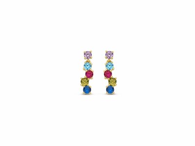 Naiomy Silver | Boucles d'Oreilles | Plaqué Or | Multicolore | N4M75