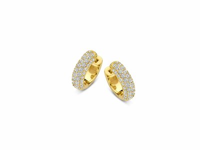 Naiomy Silver | Boucles d'Oreilles | Plaqué Or | Oxyde de Zirconium | N4G55