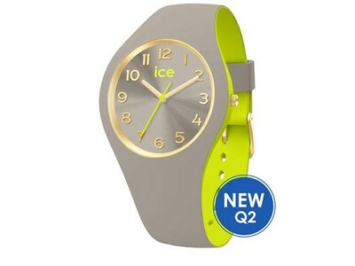 Ice-Watch | Femme | Ice Duo Chic | Grey Lime | Small | 023279