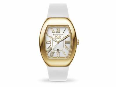 Ice-Watch | Femme | Quartz | Ice Boliday | Dome | White Gold | Small | 024049