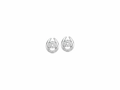 Naiomy Silver | Boucles d'oreilles | Argent | Zirconiums | N5D74