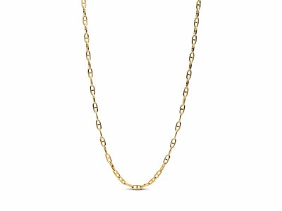 Pandora | Chaîne | d'Ancre | Plaqué Or | 363899C00