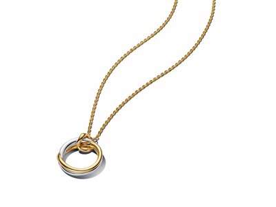 Pandora | Collier | Forme Organique | Bicolore | 363882C00