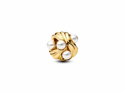 Pandora | Charm | Vague Abstraite | 763915C01