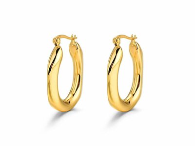 Loumya Steel | Boucles d'Oreilles | Acier | 9123056