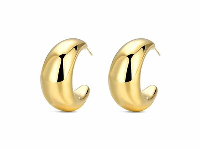 Loumya Steel | Boucles d'Oreilles | Acier | 9123049