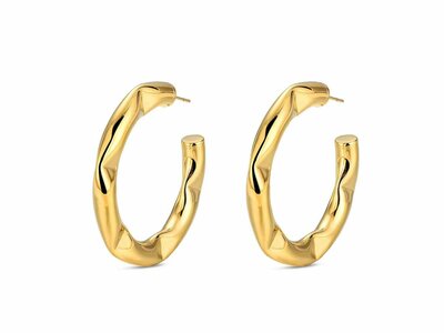 Loumya Steel | Boucles d'Oreilles | Acier | 9123104