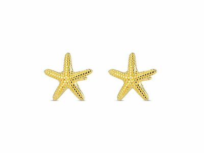 Loumya Silver | Boucles d'Oreilles | Plaqué Or | 9122795