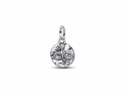Pandora | Charm | Médaillon | Serpent Infini | 793976C01