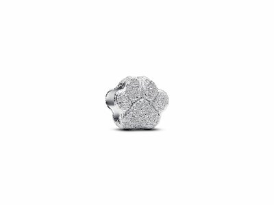 Pandora | Mini Charm | Patte Texturé | Argent | 794043C00