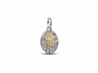 Pandora | Charm | Médaillon | Rose | Bicolore | 764087C00