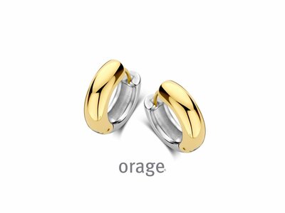 Orage | Boucles d'Oreilles | Créoles | Acier Inoxydable | Bicolore | 19mm | BB123