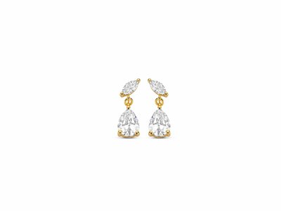 Naiomy Silver | Boucles d'Oreilles | Plaqué Or | Oxyde de Zirconium | N5M54