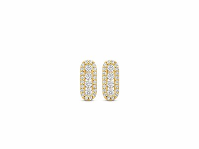 Naiomy Silver | Boucles d'Oreilles | Plaqué Or | Oxyde de Zirconium | N5Q53