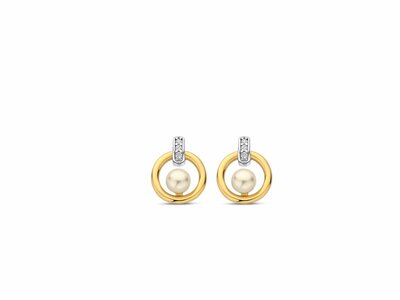 Naiomy Silver | Boucles d'Oreilles | Argent | Plaqué Or | Oxyde de Zirconium | N5P68