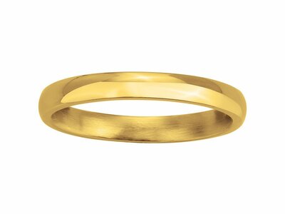 Phebus | Bague | Acier Inoxydable | Pvd Jaune | 15-0410