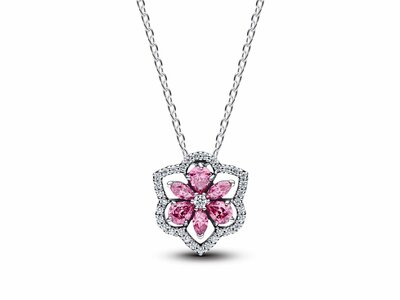 Pandora | Collier | Argent | Fleur Rose Herbier Scintillant | 394576C01