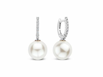 Ti Sento | Boucles D'oreilles | Argent | Plaqué Or | Perles Synthétique | 78091PW