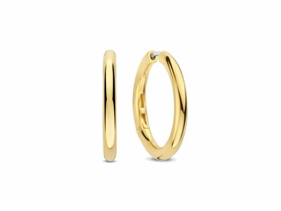 Ti Sento | Boucles D'Oreilles | Plaqué Or | 78120SY