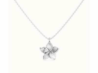 Diamanti Per Tutti | Collier | Argent | Diamant | Bianca | M2704-1S3
