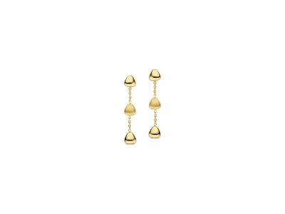 Naiomy Silver | Boucles d'Oreilles | Plaqué or | N6J56