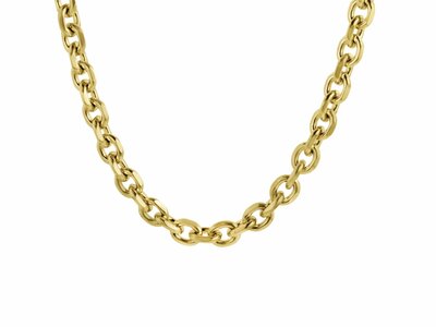 Lotus Style | Collier | Acier | Doré | LS2733-1/1